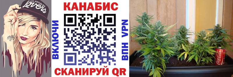 hydra как зайти  Рассказово  Канабис семена 